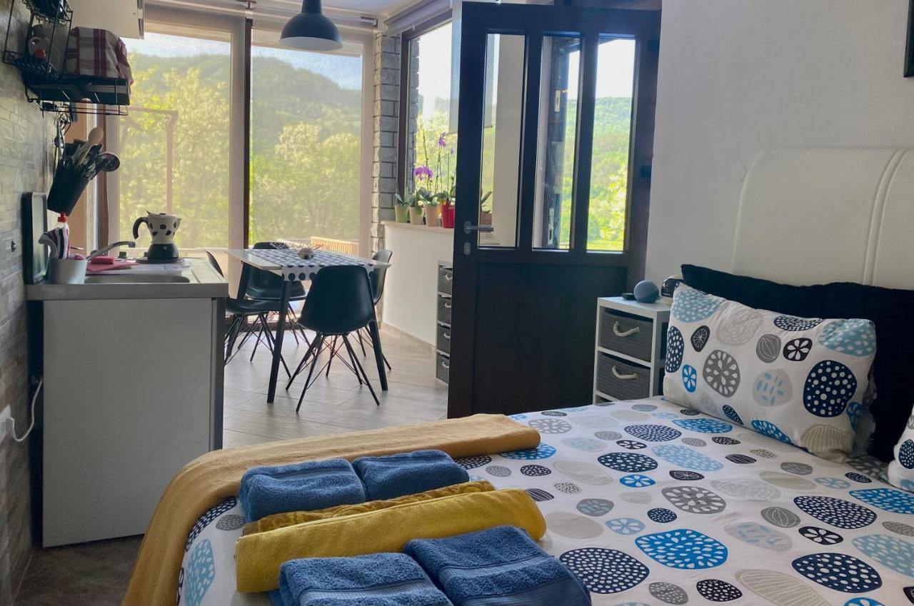 Apartman Verona Buzet Exterior foto